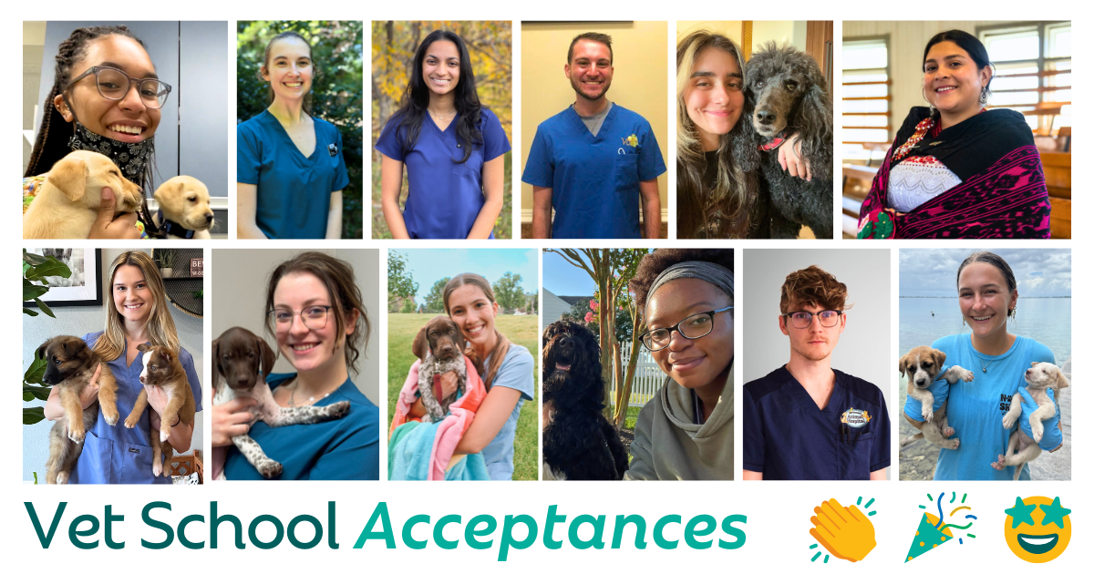 Congrats to These Future Vets!