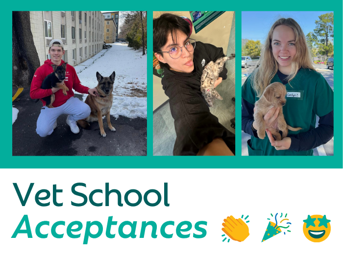 A Bright Future Ahead: Our 2026 Vet School Acceptances
