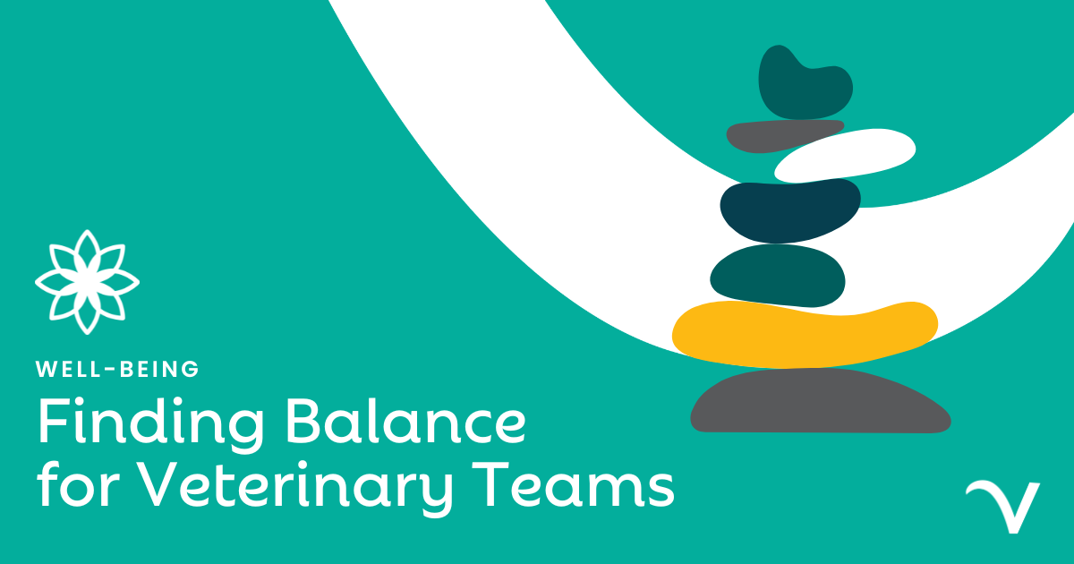 Finding Balance for Veterinary Teams