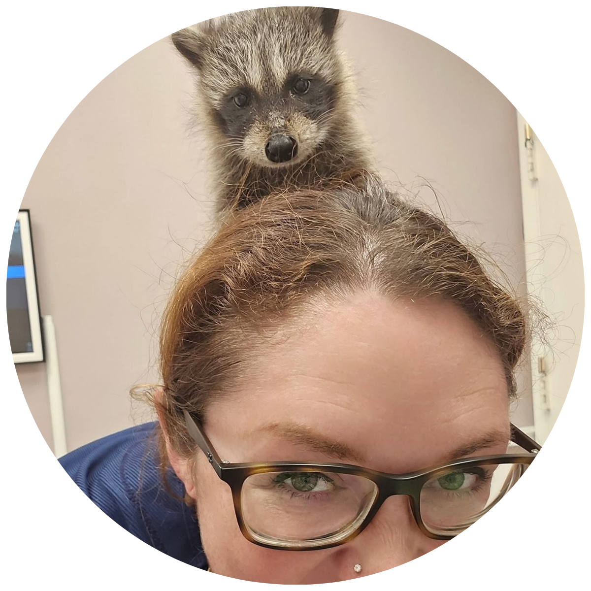 Verandah Pet Hospital