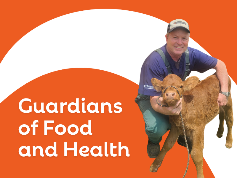 Guardians of Food and Health: Celebrating Veterinarians Every Day