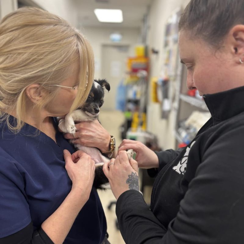 Heartland Niagara Animal Hospital