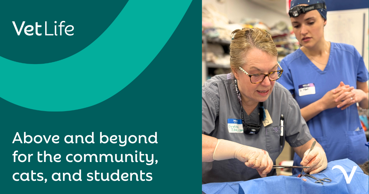 Uniting for a Cause: A Day of Feline Care and Learning