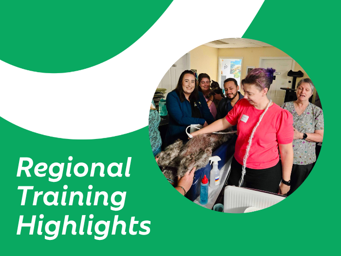 Investing in Education: Regional Training Highlights