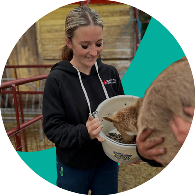Vet Student Working at a Large Animal Practice