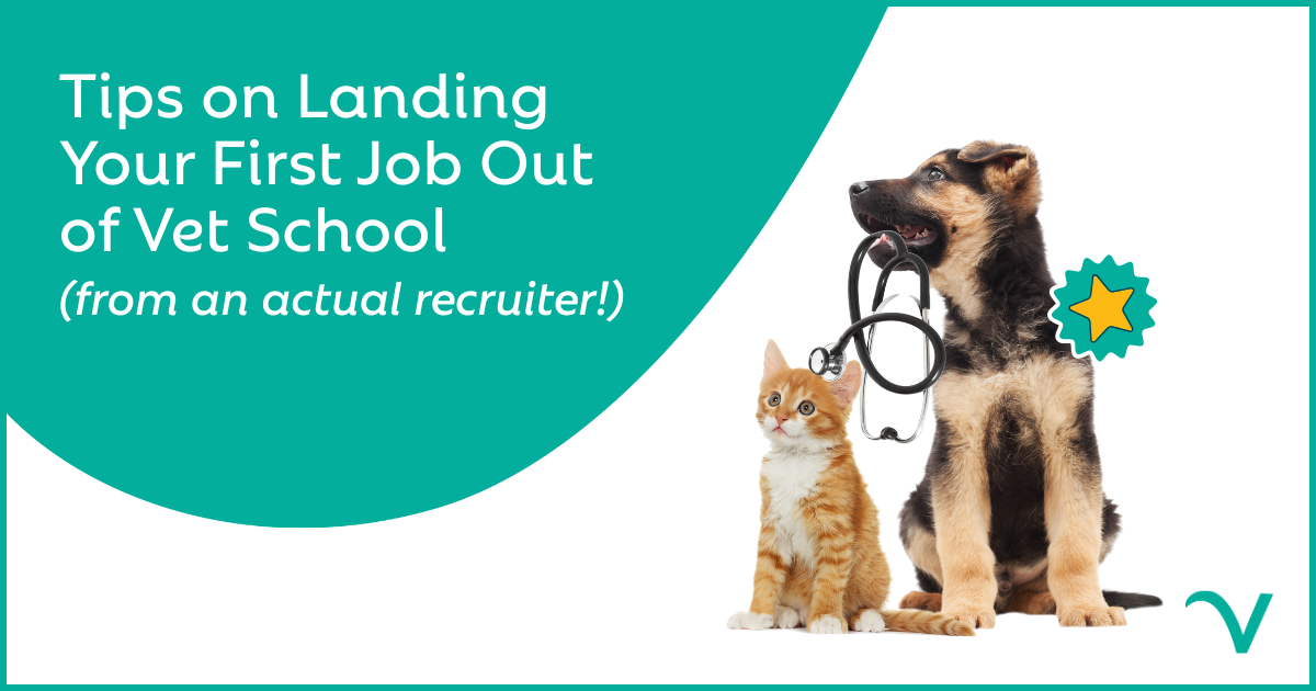 Tips on Landing Your First Job Out of Vet School
