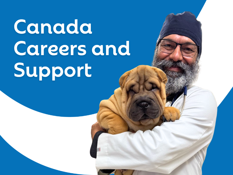 Careers and Support for Canadian Veterinary Professionals