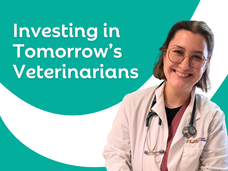 Investing in Tomorrow's Veterinarians