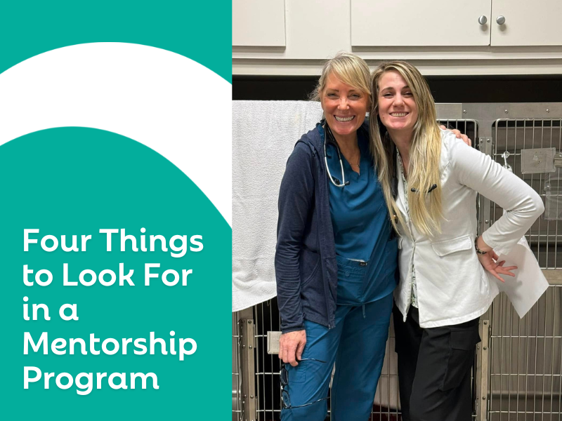 Four Things to Look For in a Veterinary Mentorship Program