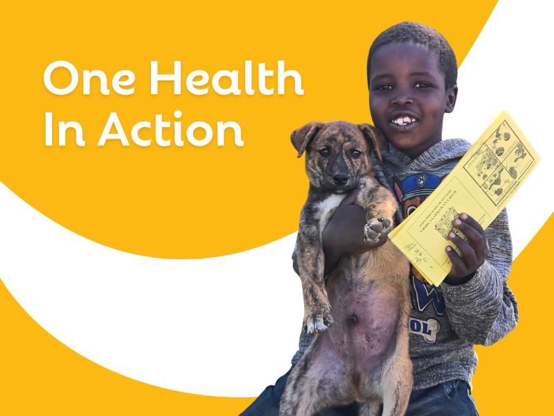 One Health in Action: Creating a Safer Future Through Rabies Free Africa