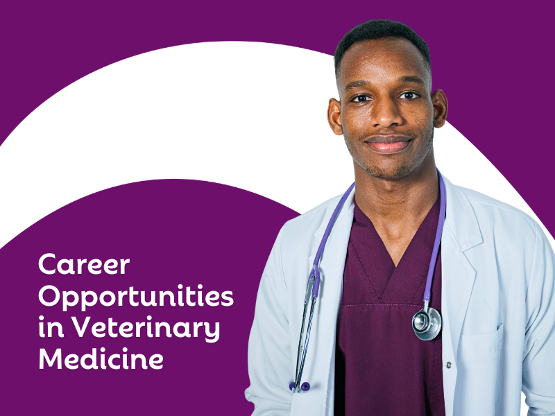 Find Your Purrfect Fit in the World of Veterinary Medicine