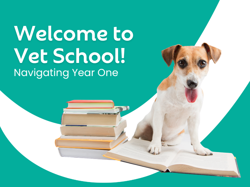 Welcome to Vet School! Navigating Year One