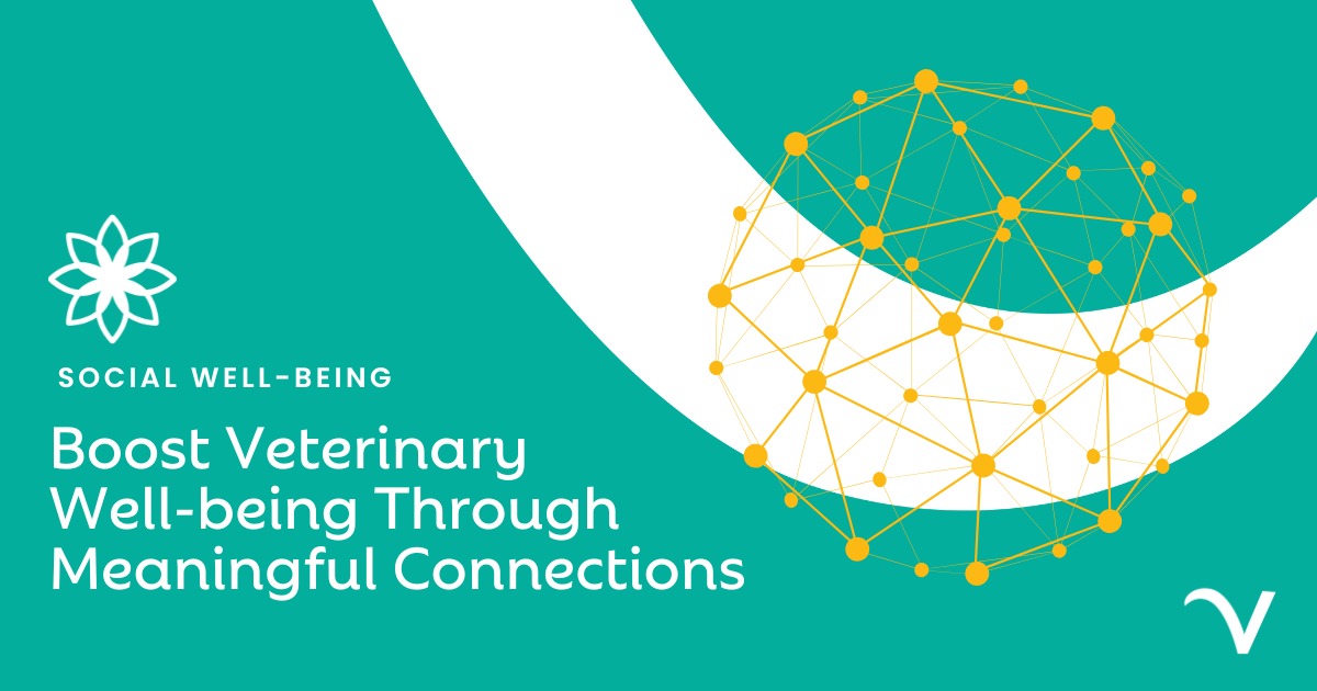 Boost Veterinary Well-being Through Meaningful Connections