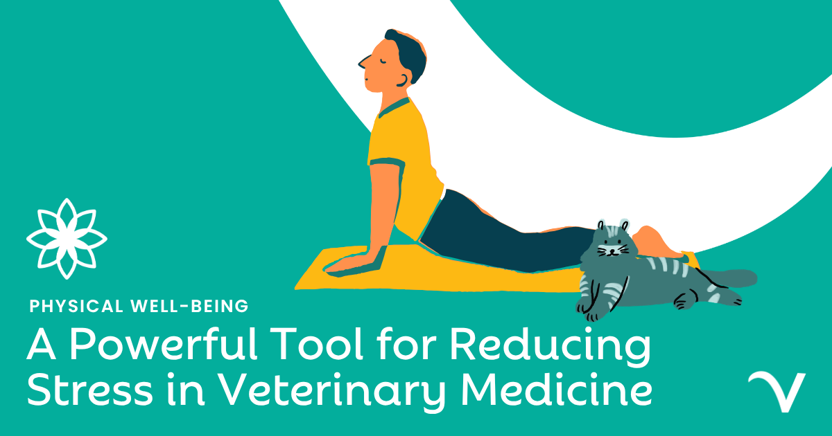 Physical Well-being: A Powerful Tool for Reducing Stress in Veterinary Medicine