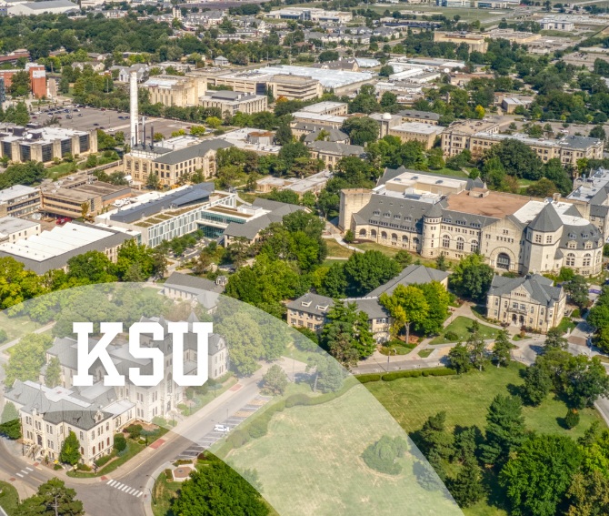 Kansas State Career Fair