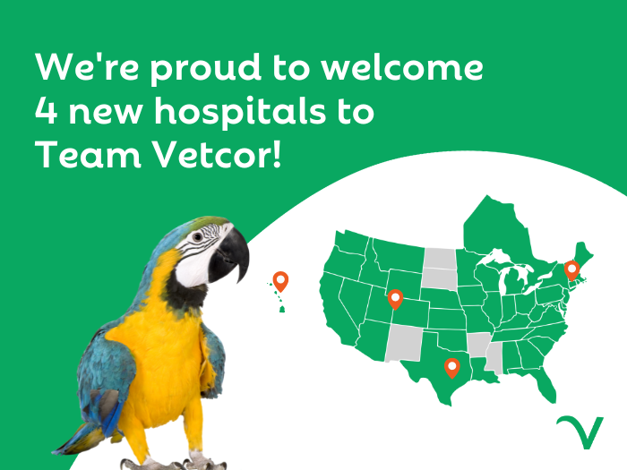 Vetcor Welcomes 4 New Hospitals in August