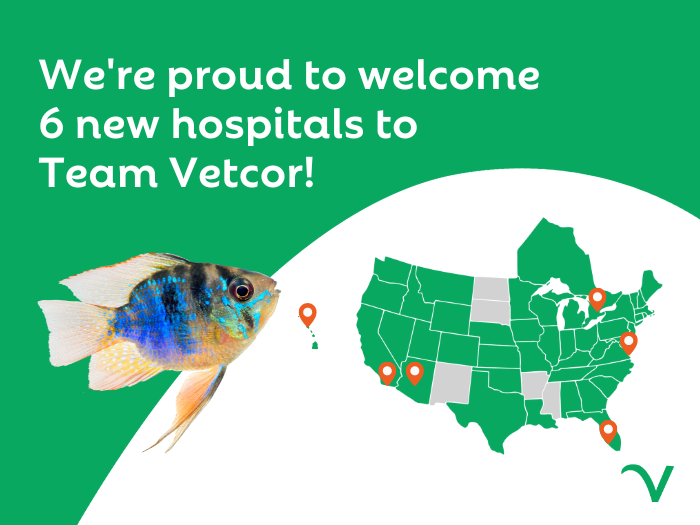 Vetcor Welcomes 6 New Hospitals in July