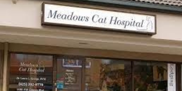 Meadows Cat Hospital, Issaquah, WA