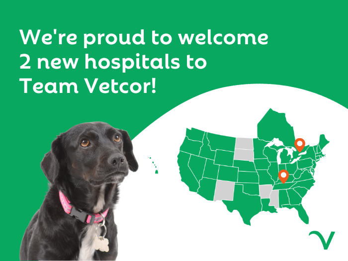 Vetcor Welcomes 2 New Hospitals in September